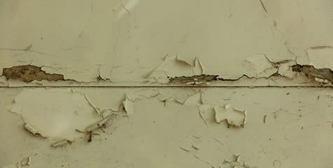 Asbestos Assessments (Northern NSW) Asbestos Assessments (Northern NSW)